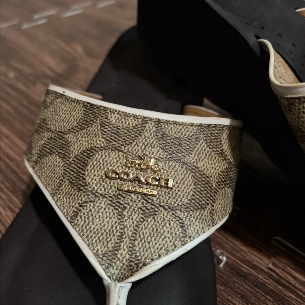 Coach Signature Canvas Thong Sandals in Brown and Black